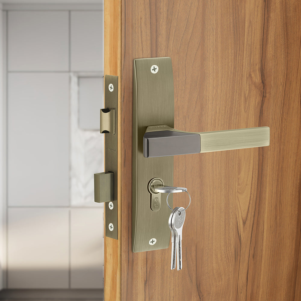IPSA Ash Iris Handle Series on 8" Plate CYS Lockset with 60mm Both Side Key - Matte Antique Finish MAB